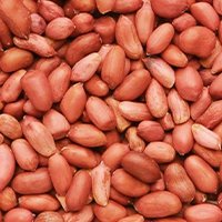 Raw Peanut