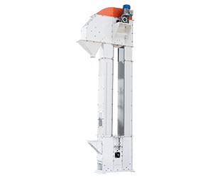 Grain Feeder